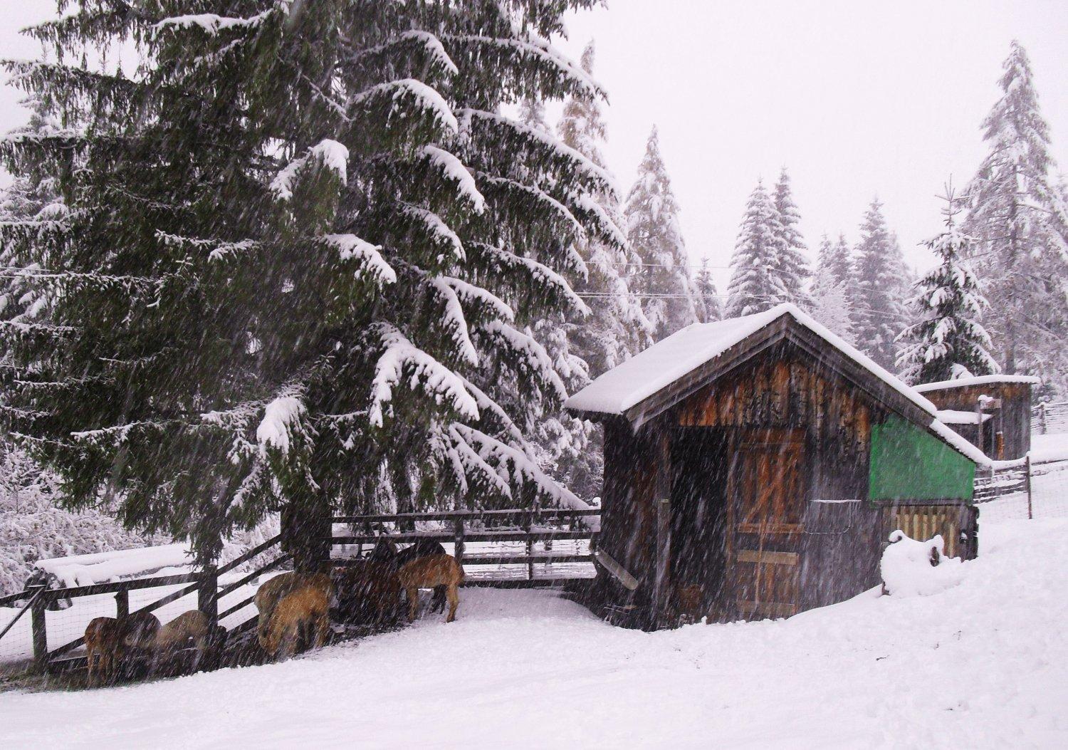 Gaestehaus Panorama Biberwier Esterno foto