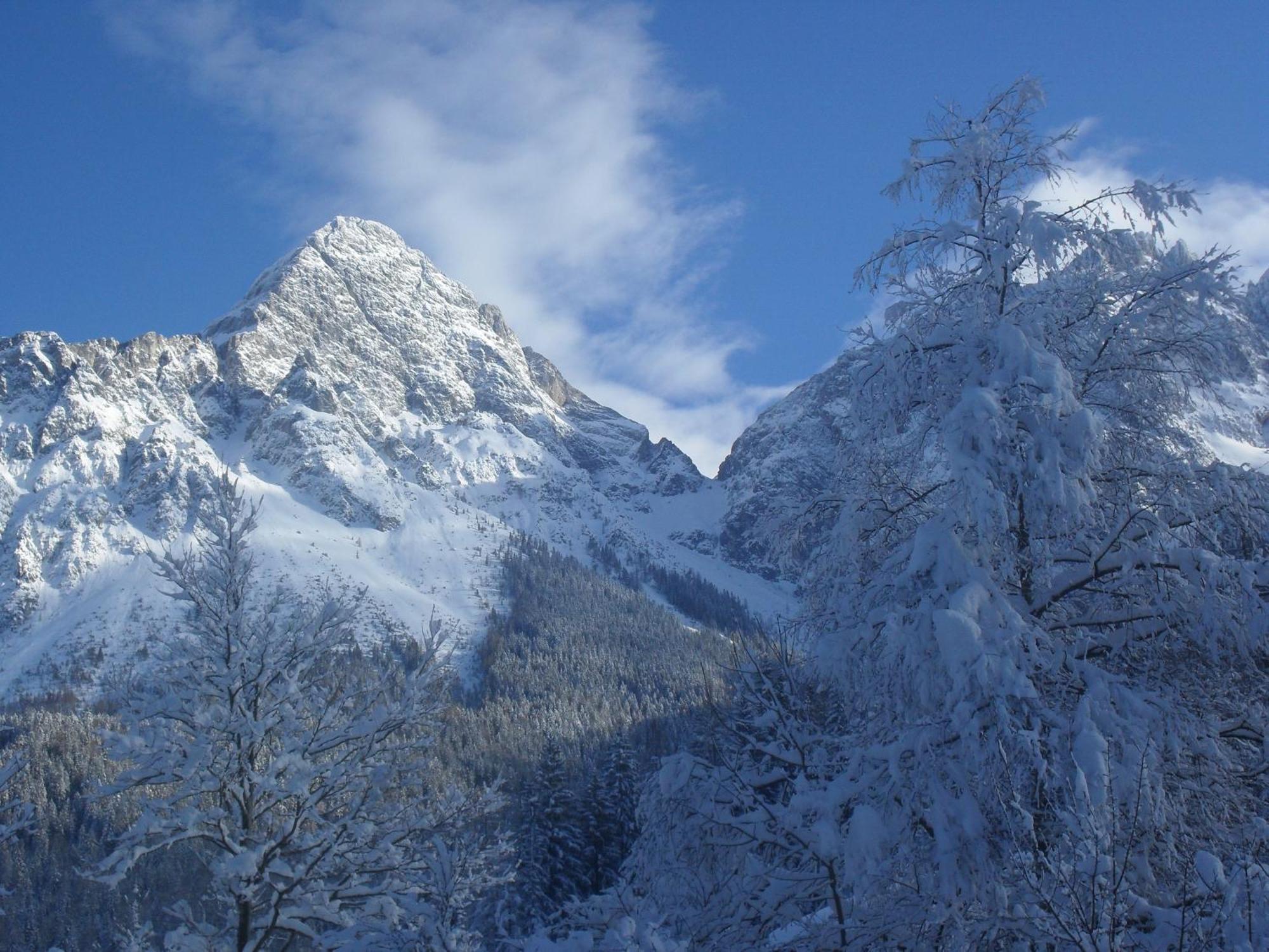 Gaestehaus Panorama Biberwier Esterno foto